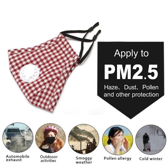 JIANG GeGE 2PCS PM2.5 Red Plaid Dust Mask for Adult + 4 Activated Carbon Filters - Picture 2 of 5